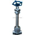 GB / API Low Temperature Steel / Lcb Gate Valve Class800 3/4 &#39;&#39;